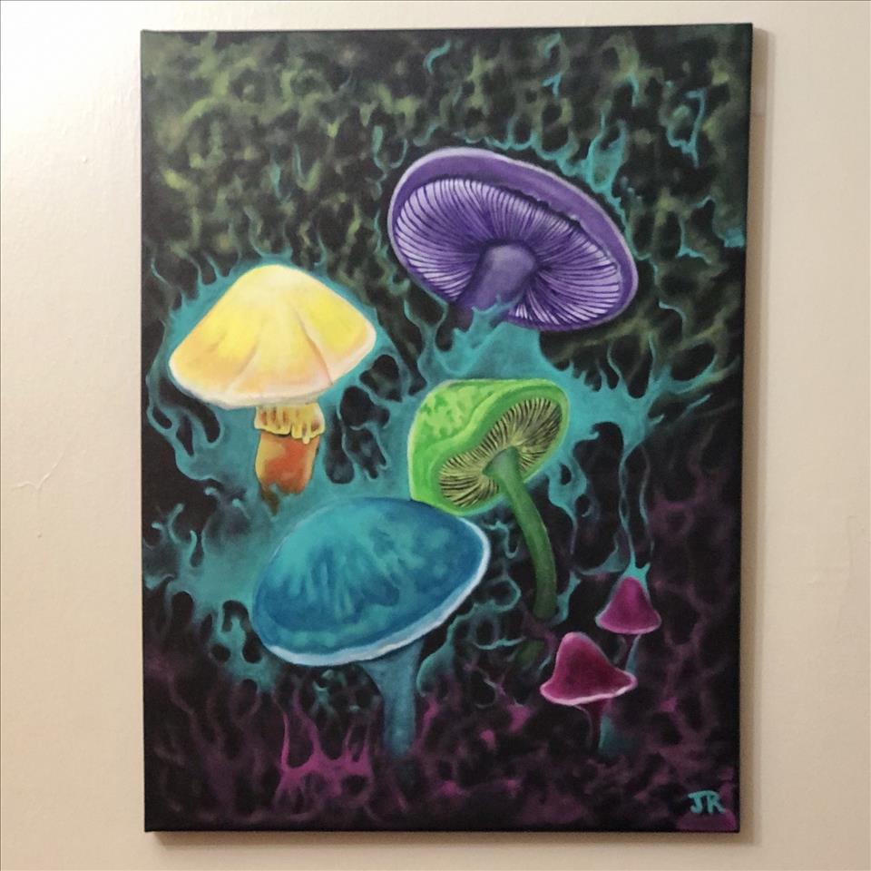 The Magic of The Mushrooms