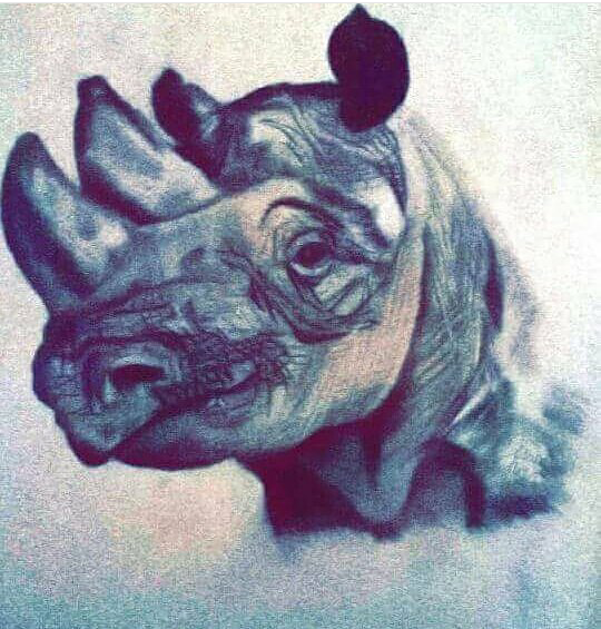 Rhinos smile too