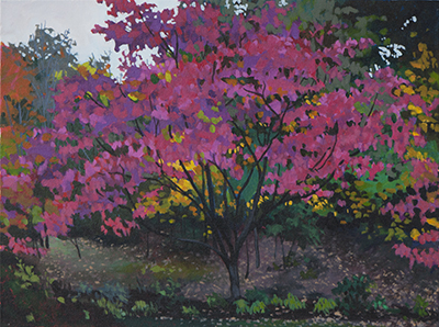 Dogwood at Devils Backbone